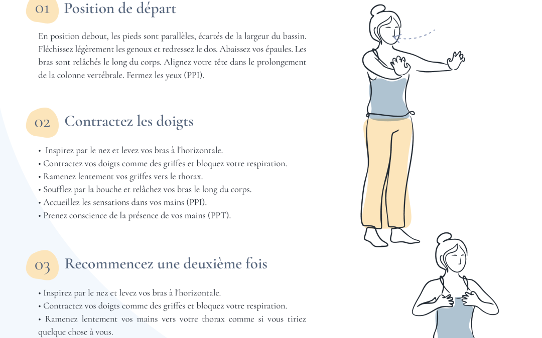 17 – Doigts en griffes – Prendre conscience de la capacité à saisir (préhension) – attraper la conﬁance, récupérer  de la force